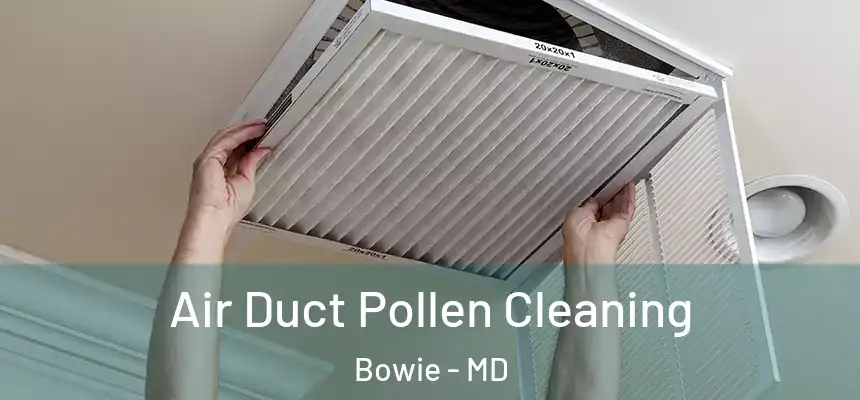 Air Duct Pollen Cleaning Bowie - MD