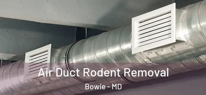 Air Duct Rodent Removal Bowie - MD
