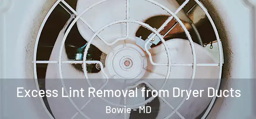  Excess Lint Removal from Dryer Ducts Bowie - MD