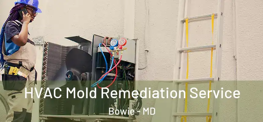  HVAC Mold Remediation Service Bowie - MD