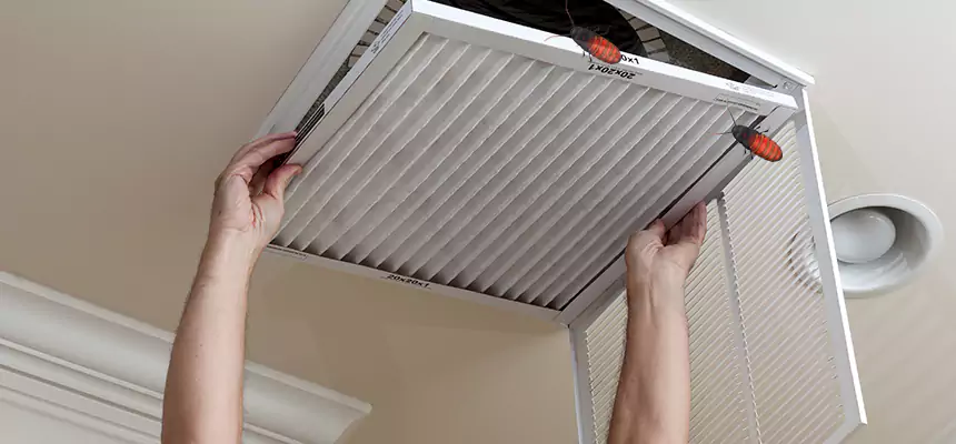 Preventive Cockroach-Proofing for Ducts in Bowie
