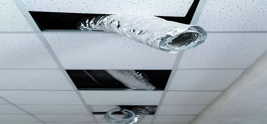 Our Air Duct Pet Hair Removal Services in Bowie, MD