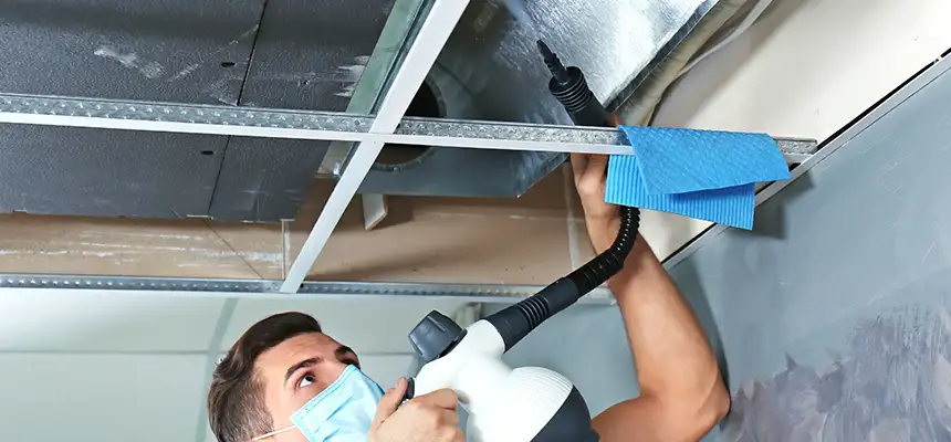 Our Air Duct Rodent Removal Services in Bowie, MD
