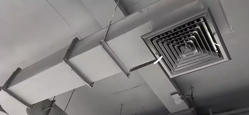 Restorative Allergy Relief Vent Cleaning – Coil, Blower & Housing Detail in Bowie