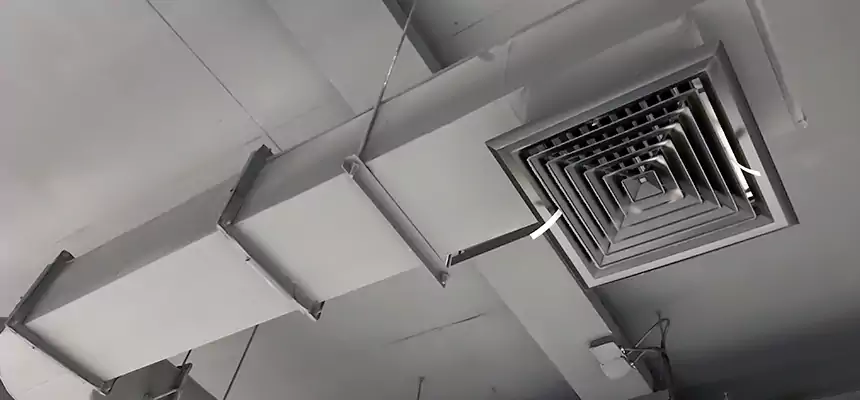 Our Pest Removal From Ducts Services in Bowie, MD