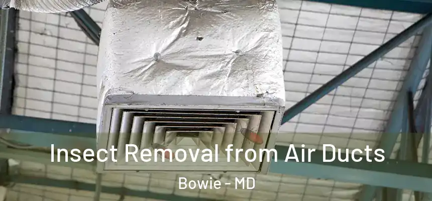  Insect Removal from Air Ducts Bowie - MD