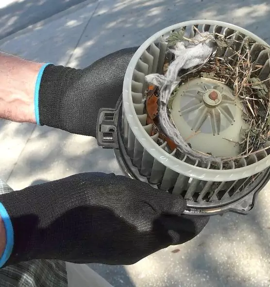 About Air Duct Rat Removal in Bowie, MD