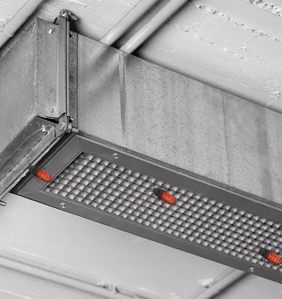 Affordable Insect Removal from Air Ducts in Bowie, MD