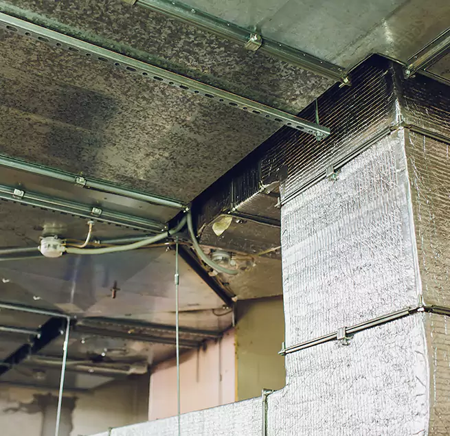 Why Homeowners & Businesses Trust Us in Bowie, MD?